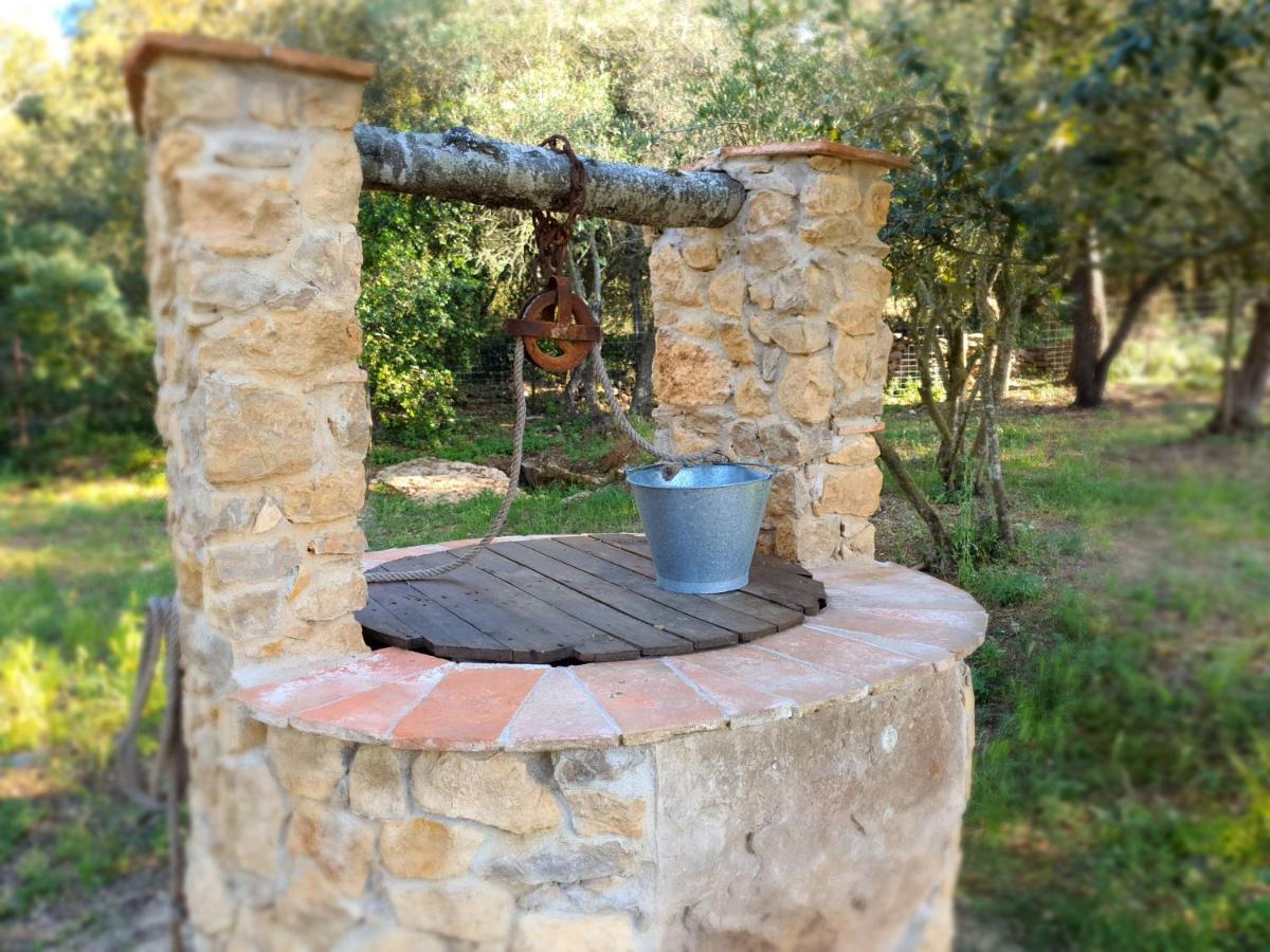 Can Costals Olivo Pals Exterior foto