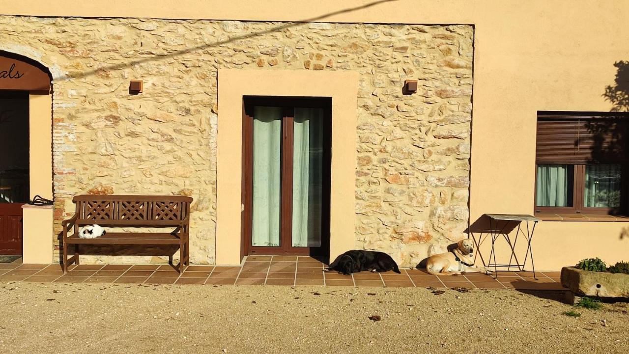 Can Costals Olivo Pals Exterior foto